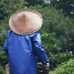 Doğal Yaşamın Keyfi: Evde Kendi Bahçeni Yaratmanın Yolları